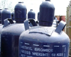 Thuốc Methyl Bromide 98
