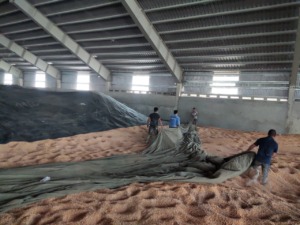 Khử trùng hàng hóa trong kho