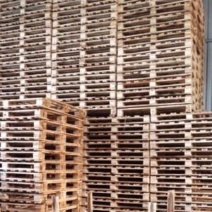 Dịch vụ hun trùng pallet tại Hưng yên