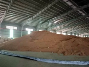 Khử trùng tại Hải Phòng