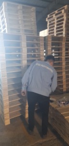 Hun trùng pallet