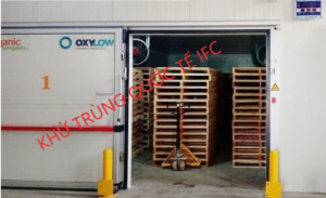 Hun trùng Pallet tại TP Hồ Chí Minh