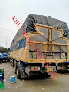 Diệt mọt nhanh tại Đồng Nai