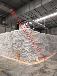Đánh mọt nông sản tại Đồng Nai