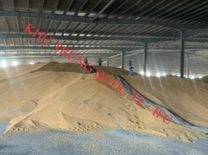 Đánh mọt nông sản tại Đồng Nai