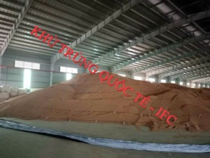 Diệt mọt nông sản tại Đồng Nai