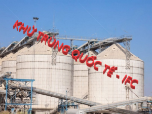 Diêt mọt hun trùng silo giá rẻ tại TP HCM