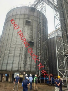 Khử trùng diệt mọt silo giá rẻ tại TP HCM