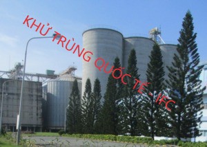 Đánh mọt silo giá rẻ tại TP HCM