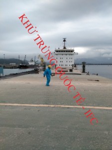 Hun trùng tàu biển