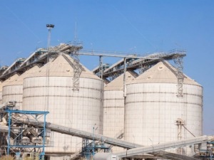 Hun trùng diệt mọt silo giá rẻ tại TP HCM