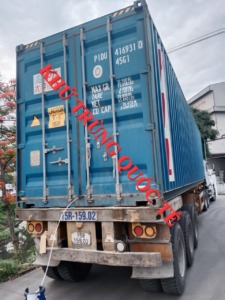 Diệt mọt nhanh 24 giờ giá rẻ tại TP HCM