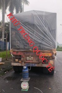 Diệt mọt nhanh 24 giờ giá rẻ tại TP HCM