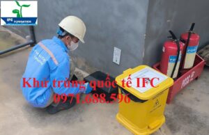 Diệt chuột giá rẻ tại Hà Nội 