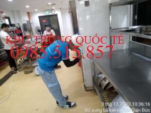 Tiêu trừ gián Đức tận gốc giá rẻ tại Hà Nội