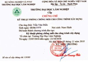 Diệt mối tận gốc giá rẻ tại Hà Nội - Chứng chỉ diệt mối