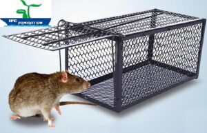 Bẫy lồng - Kiểm soát chuột giá rẻ tại Bắc Giang
