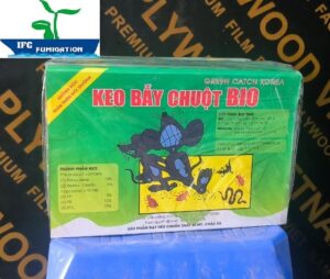 Keo dính chuột - Diệt chuột giá rẻ tại Bắc Giang