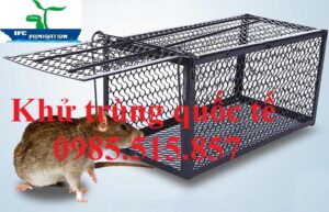Diệt chuột tại Bắc Ninh - Bẫy lồng