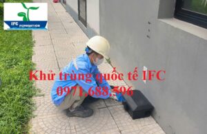 Kiểm soát chuột giá rẻ tại Bắc Giang