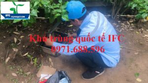 Kiểm soát chuột giá rẻ tại Bắc Giang