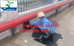 Kiểm soát chuột giá rẻ tại Bắc Giang