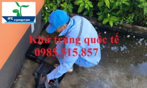 Dịch vụ diệt chuột giá rẻ tại Hải Dương