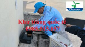 Dịch vụ diệt chuột tại Hải Dương