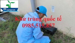 Kiểm soát chuột giá rẻ tại Bắc Ninh