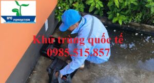 Kiểm soát chuột giá rẻ tại Bắc Ninh