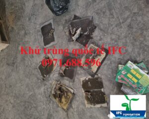 Kiểm soát chuột giá rẻ tại Hà Nam