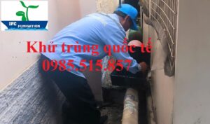 Dịch vụ kiểm soát chuột tại Hải Dương