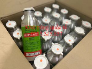 Dịch vụ xông hơi khử trùng pallet tại Quảng Ninh - Xử lý bằng Phosphine (PH3)