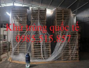 Dịch vụ hun trùng pallet giá rẻ tại Quảng Ninh