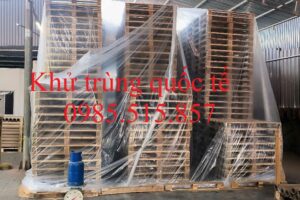 Dịch vụ hun trùng pallet giá rẻ tại Quảng Ninh