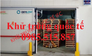 DỊch vụ hun trùng pallet xuất khẩu tại Quảng Ninh