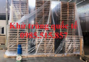 Dịch vụ xông hơi khử trùng pallet tại Quảng Ninh - Xử lý bằng Methyl Bromide