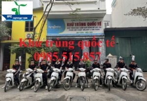 Công ty xông hơi khử trùng pallet tại Quảng Ninh