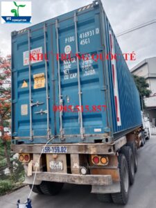 Hun trùng hàng hóa xuất khẩu tại Hải Phòng 