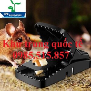 Dịch vụ diệt chuột hiệu quả tại Bắc Ninh - Bẫy kẹp cơ học