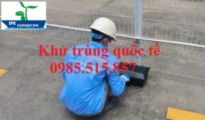 Dịch vụ diệt chuột an toàn tại Bắc Ninh