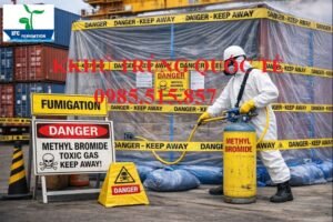 Hun trùng pallet gỗ tại Hải Phòng