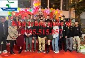 Dịch vụ diệt chuột tại Hải Phòng