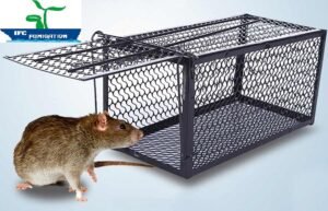 Dịch vụ diệt chuột tại Hải Phòng - Bẫy Lồng