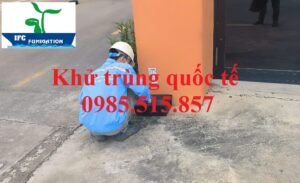 Dịch vụ xử lý chuột giá rẻ tại Vĩnh Phúc