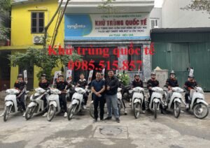 Dịch vụ xử lý chuột giá rẻ tại Vĩnh Phúc