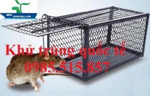 Dịch vụ xử lý chuột giá rẻ tại Vĩnh Phúc - Bẫy lồng