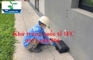 Dịch vụ xử lý chuột giá rẻ tại Hải Phòng 