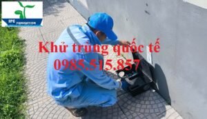 Dịch vụ xử lý chuột giá rẻ tại Hải Phòng 