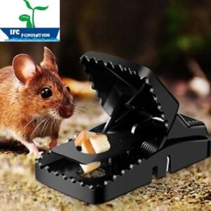 Dịch vụ xử lý chuột giá rẻ tại Hải Phòng - Bẫy cơ học